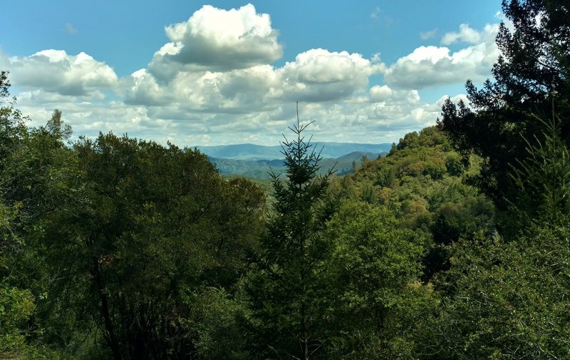 The Diablo Range in the far distance across Santa Clara Valley, comes into view beyond Santa Cruz Mountains as one climbs Knobcone Trail.