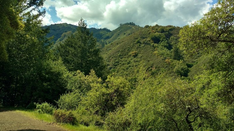 Nearby Santa Cruz Mountains to the northwest, seen from Alec Canyon Trail as it climbs steep switchbacks at the beginning.