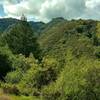 Nearby Santa Cruz Mountains to the northwest, seen from Alec Canyon Trail as it climbs steep switchbacks at the beginning.