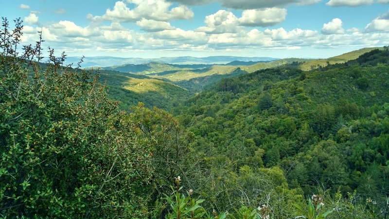 Santa Cruz Mountains to the east, with the the Diablo Range across Santa Clara Valley in the far distance, seen from high on Alec Canyon Trail.