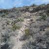 One of the steeper sections of the trail