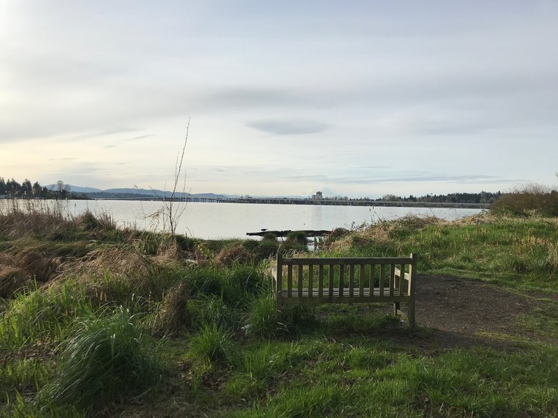 A bench with a view across Union Bay towards Mt. Rainier.