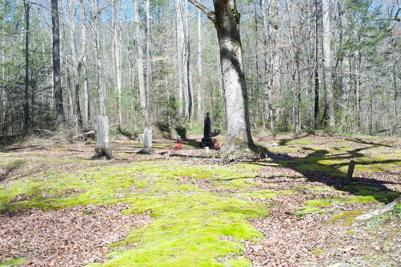 A small cemetery where the Buchanan family is buried can be found just off to the side of the trail.