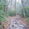 After rain storms, water can flow in the middle of the trail, which is common in the creek and river valleys of the Smokies.