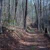 The Cooper Road Trail as it climbs up a gentle rise.