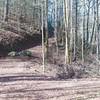 The Cooper Road Trail breaks off to the right and climbs the hill seen here while the Cane Creek Trail goes straight ahead.