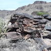 Walking Stick Cactus Next to Boulders