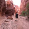 Checking out the rock formations.