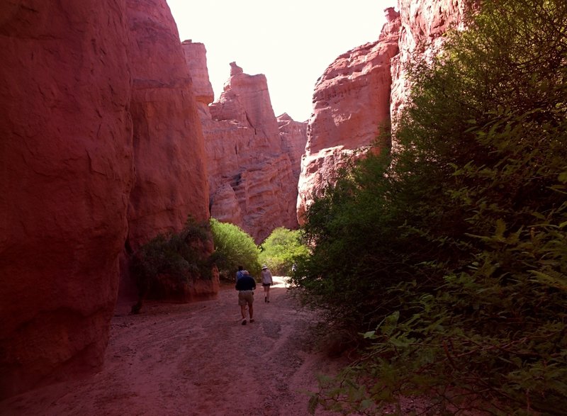 Varied group walking / hiking up.