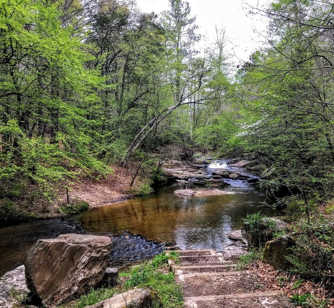 Crossing at Avents Creek