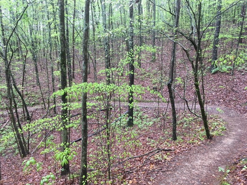 The East Loop has got some great smooth sections!