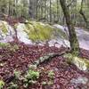 Lots of really cool boulders and moss.