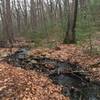 Looking upstream at the brook at the north end