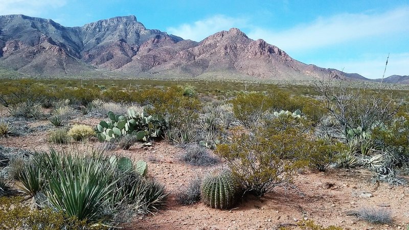 Looking west from the trail