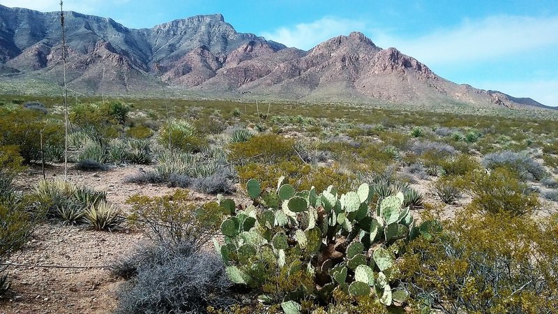 Looking west from the trail