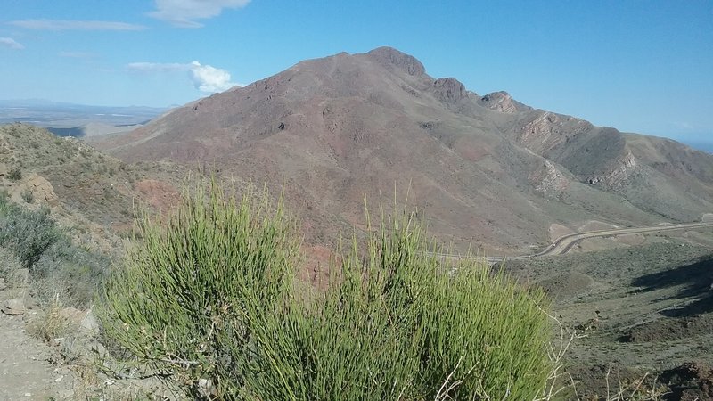 Looking north on the trail.