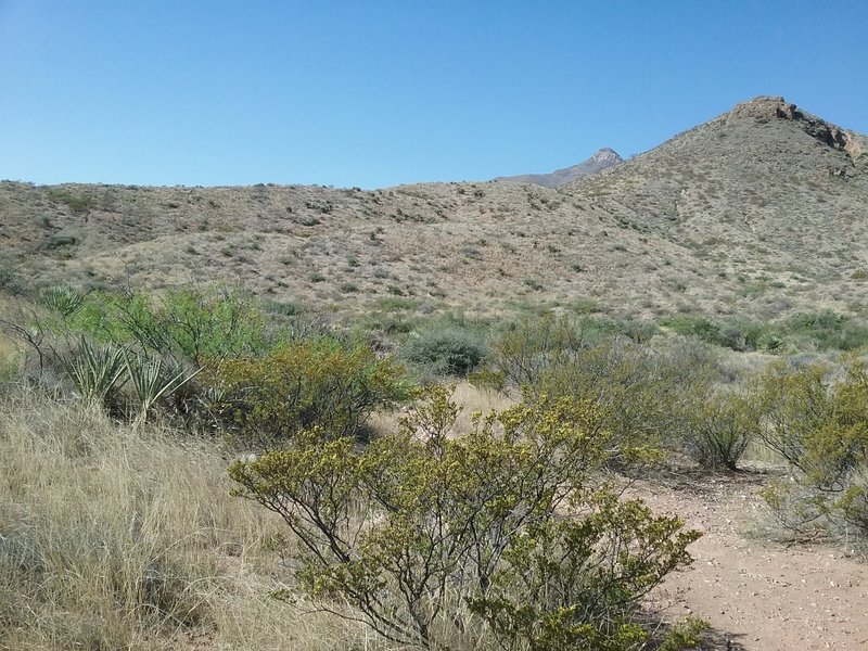 View of Cardiac Hill from the trail