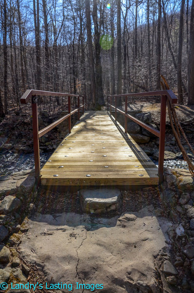 Bridge along trail