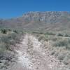 Looking west from the trail towards the Franklin Mountains