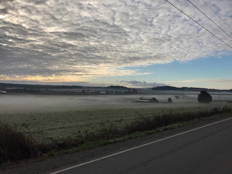 Ebey's Prairie under a blanket of fog.