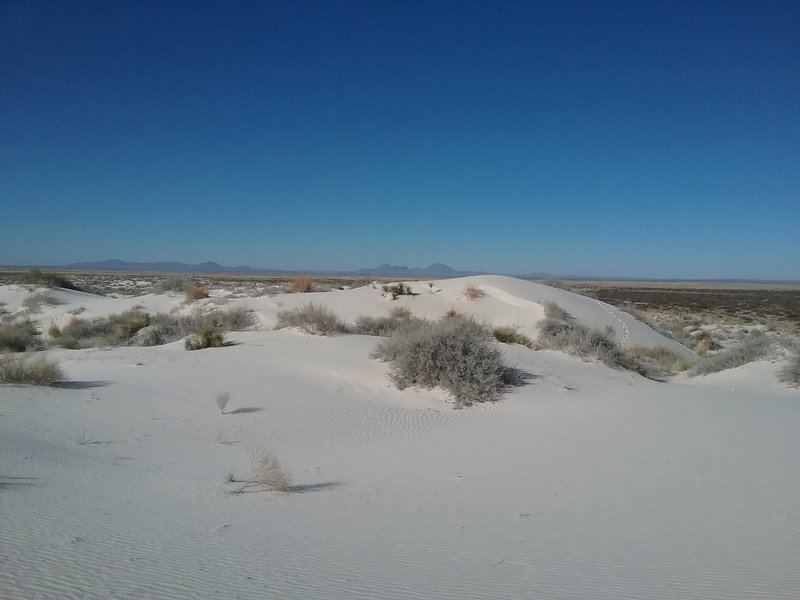 Looking west from the dunes