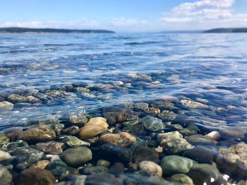 The beauty of the Salish Sea is astounding.