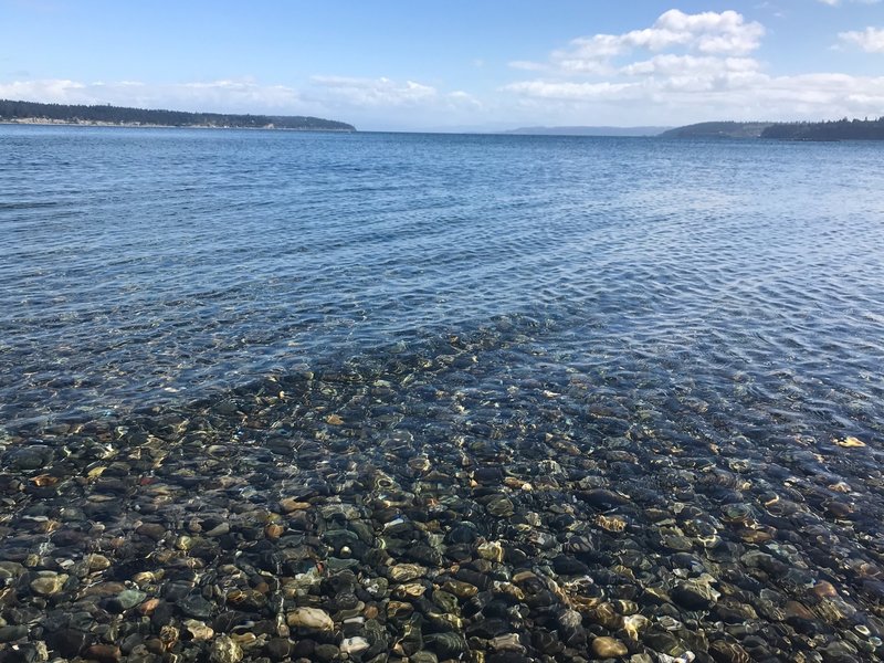 Looking out over Penn Cove