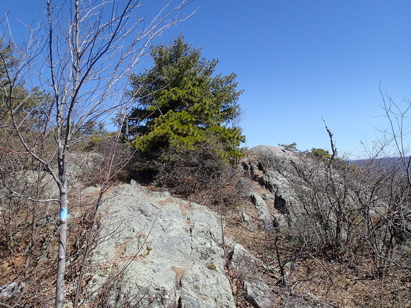 Terrace Pond North Trail