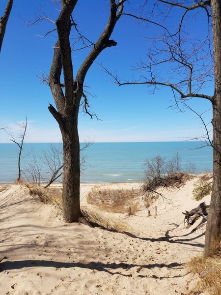 About to head back on Trail 7 after a long walk on the beach.