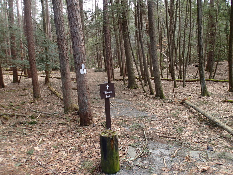 Trailhead for Tillman's Ravine