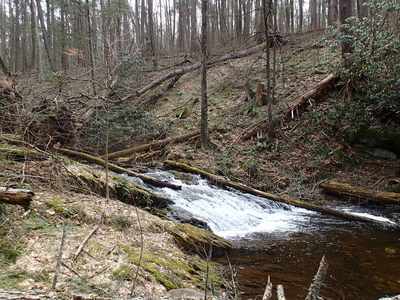 Tillmans Ravine