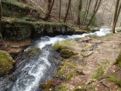Tillmans Ravine