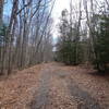 Red Maple Trail follows a forest road part of the way