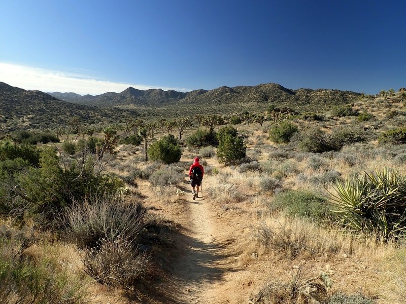 Entering Black Rock Canyon