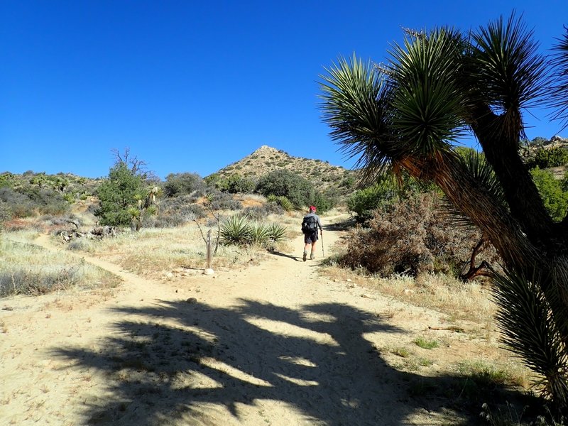 Approaching the summit of Warren Peak