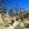 Along the trail to Warren Peak