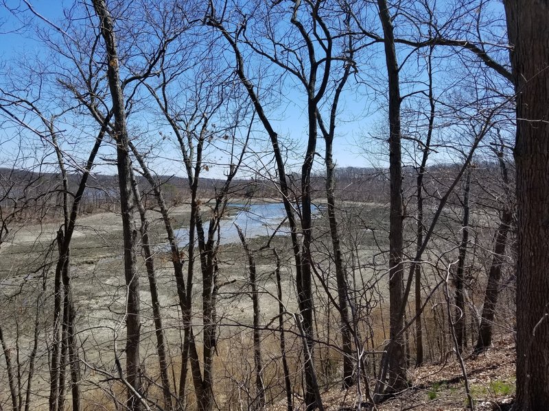 Looking down at the Reversing Falls Marsh