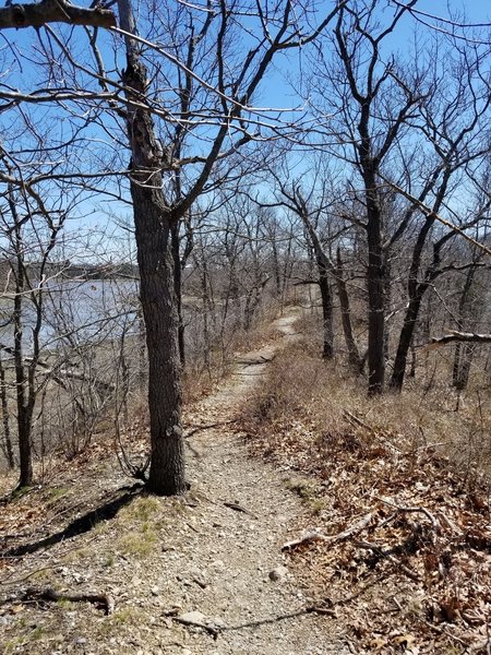 Esker at the 0.2 mark of the Reversing Falls Trail