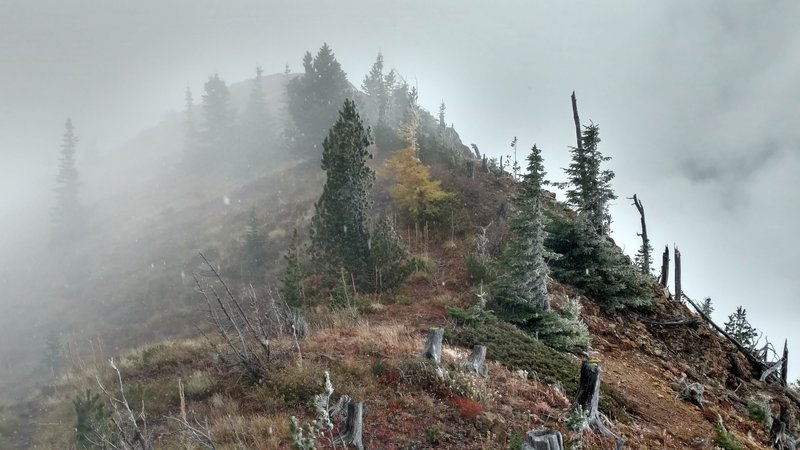 Almost to the Summit. It is now snowing pretty hard and cant see what is over the edge