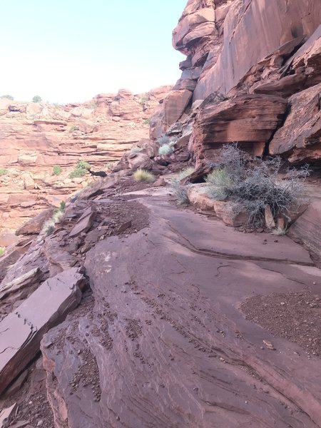 Exposed cliff trail, wider than an average sidewalk