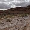 Hiking before the rain hits