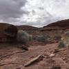 Hiking in the wash, before some rain falls