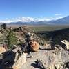 View back Panum Crater Trail