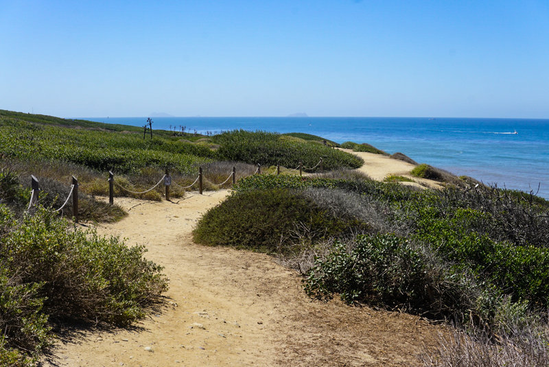 The trail meanders along the cliffs of Point Loma.
