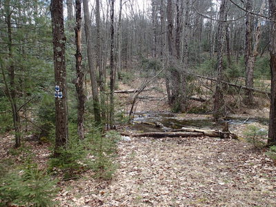Start of Jacobs Ladder Trail
