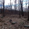 Jacobs Ladder Trail and Appalachian Trail junction