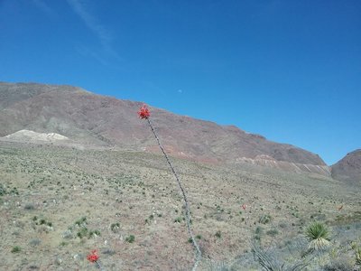 Looking east from the trail