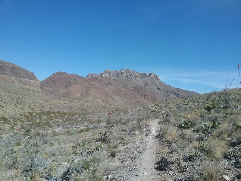 View of the South Franklin Peak from the trail