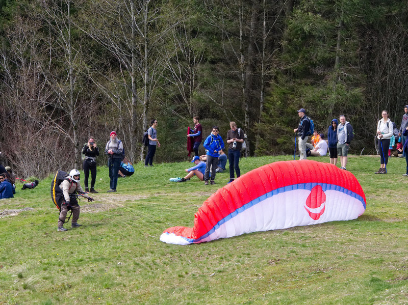 A Para Glider Stares Down his Parachute