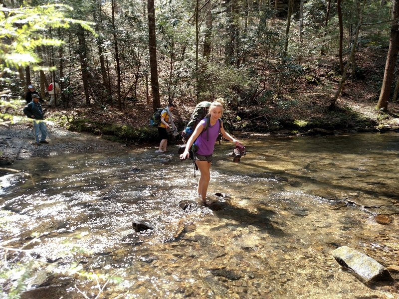 Girl Scout Troop 20793 crossing the stream on Longfield Branch Trail